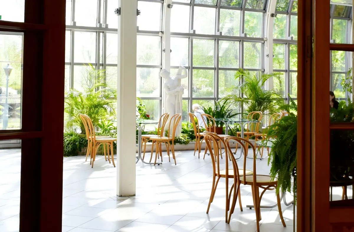 Ljust uterum med glaspartier, bistrostolar och växter